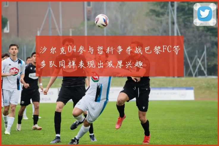 沙尔克04参与哲科争夺战巴黎FC等多队同样表现出浓厚兴趣